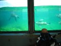 zoo 012